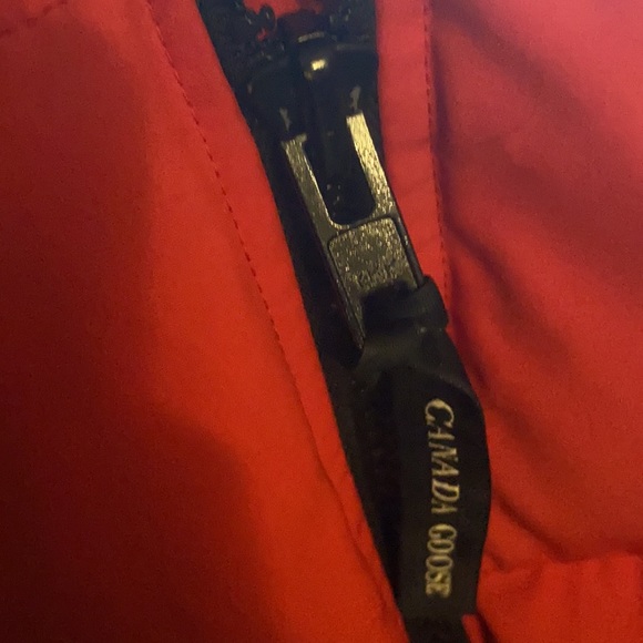 Canadian Goose - Picture 5 of 12